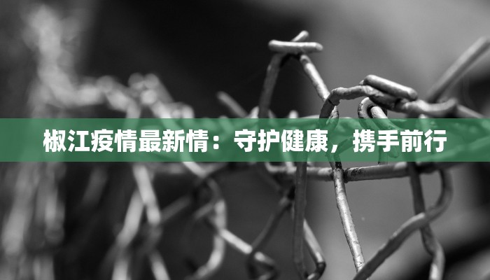 咏春舞蹈分解最慢动作