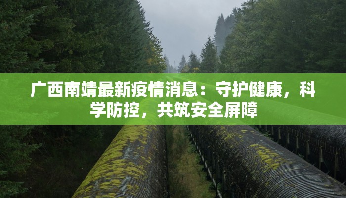 广西南靖最新疫情消息：守护健康，科学防控，共筑安全屏障