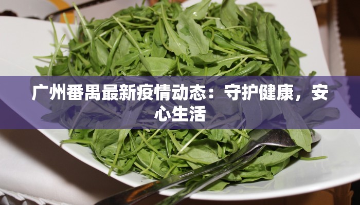 广州番禺最新疫情动态：守护健康，安心生活