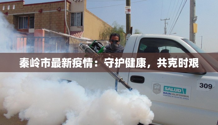 秦岭市最新疫情：守护健康，共克时艰