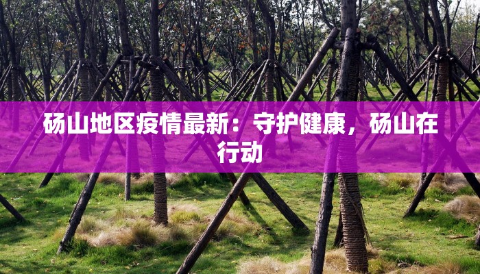 砀山地区疫情最新：守护健康，砀山在行动