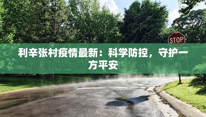利辛张村疫情最新：科学防控，守护一方平安