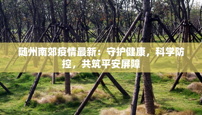 随州南郊疫情最新：守护健康，科学防控，共筑平安屏障
