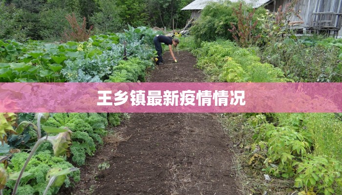 新疫情最新消息南浔：守护家园的温暖力量