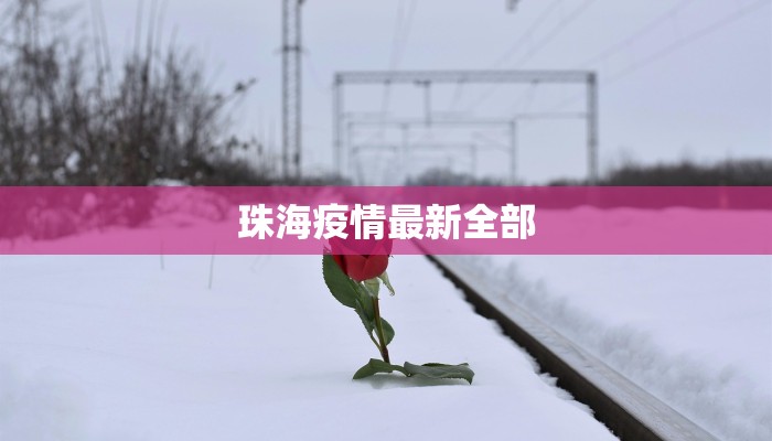 全国最新的疫情厦门：守护健康，拥抱活力