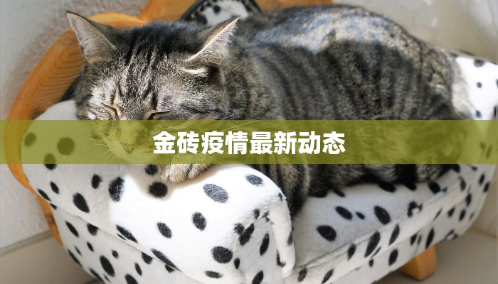 金砖疫情最新动态