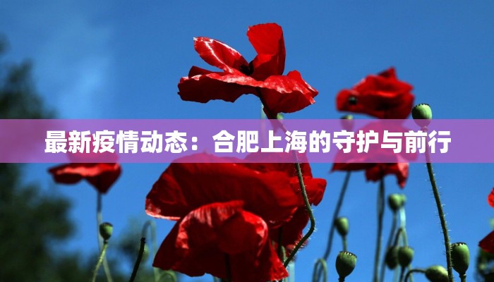 最新疫情动态：合肥上海的守护与前行