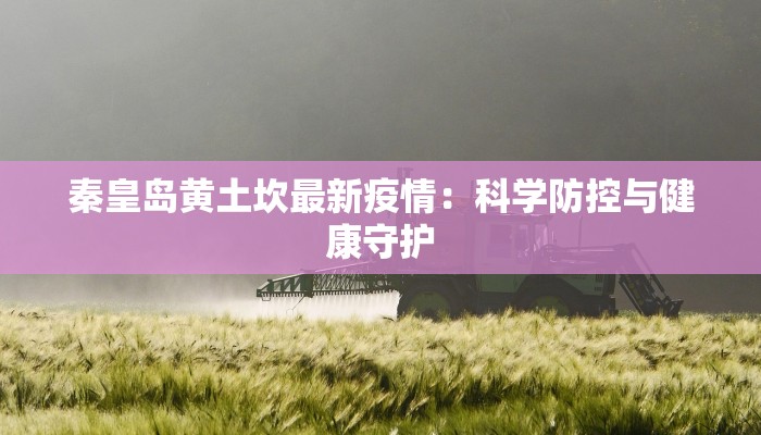 秦皇岛黄土坎最新疫情：科学防控与健康守护
