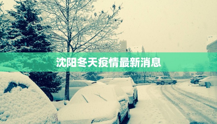 济南世贸恒隆附近美食探秘：味蕾的华丽盛宴