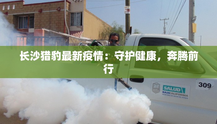 玉林南城最新疫情：科学防控，守护健康家园