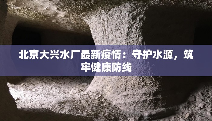 北京大兴水厂最新疫情：守护水源，筑牢健康防线