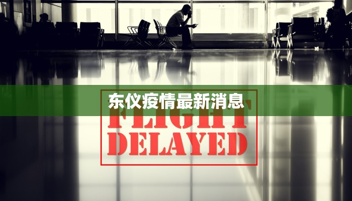 东仪疫情最新消息