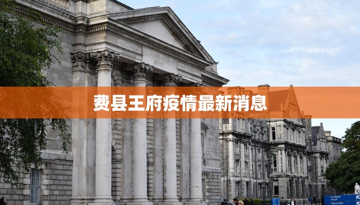 费县王府疫情最新消息