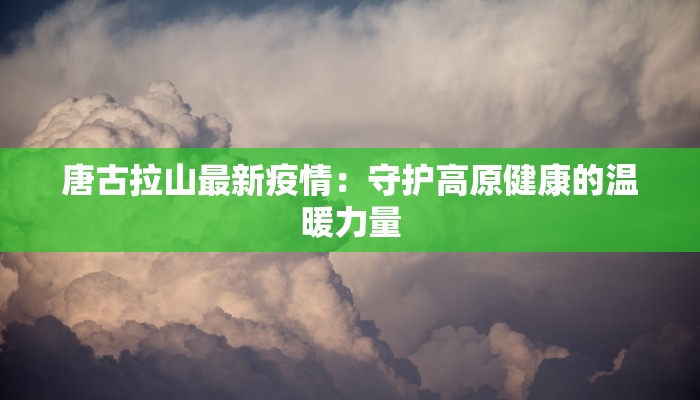 唐古拉山最新疫情：守护高原健康的温暖力量