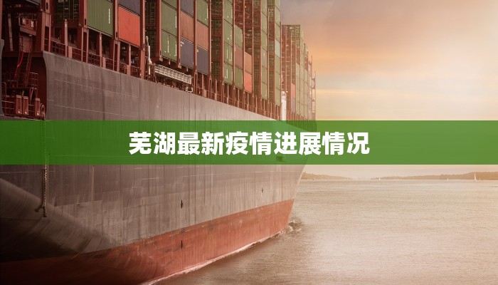 芜湖最新疫情进展情况