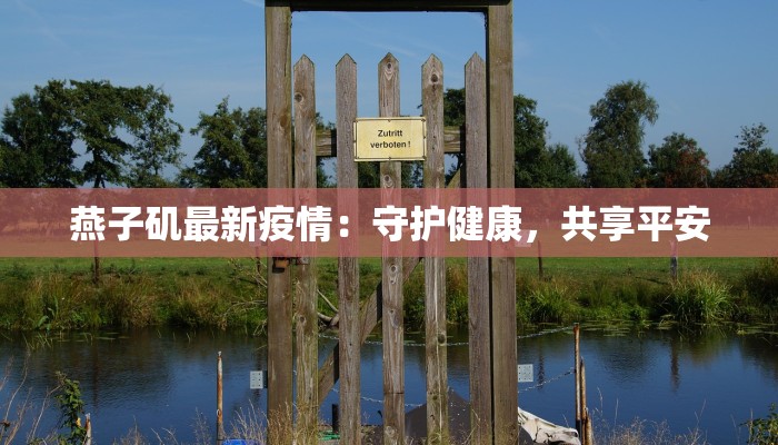 燕子矶最新疫情：守护健康，共享平安