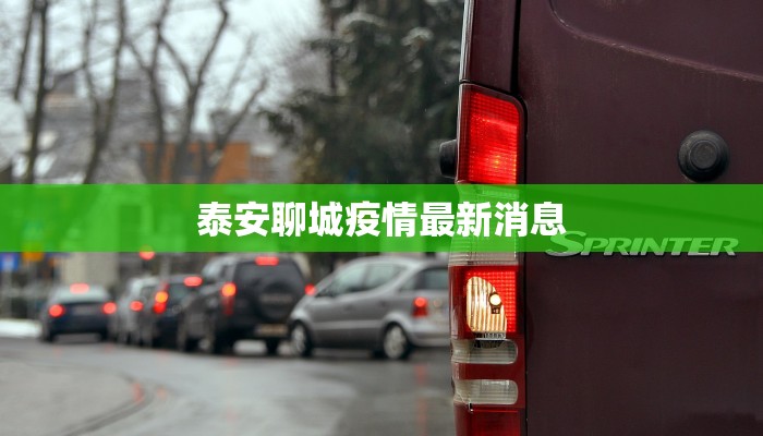 泰安聊城疫情最新消息