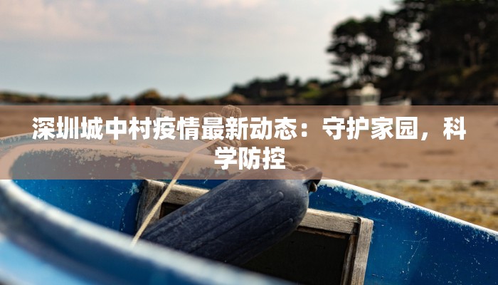 深圳城中村疫情最新动态：守护家园，科学防控