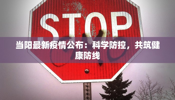 当阳最新疫情公布：科学防控，共筑健康防线