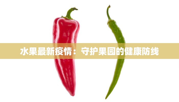 怀仁疫情防控消息最新