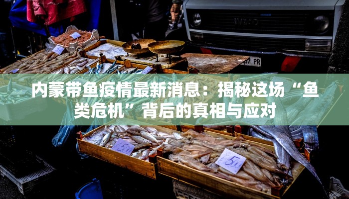 内蒙带鱼疫情最新消息：揭秘这场“鱼类危机”背后的真相与应对
