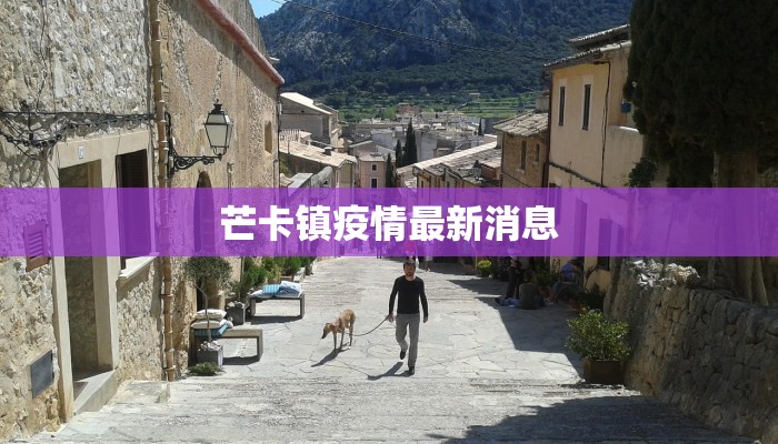 芒卡镇疫情最新消息