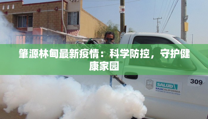 肇源林甸最新疫情：科学防控，守护健康家园