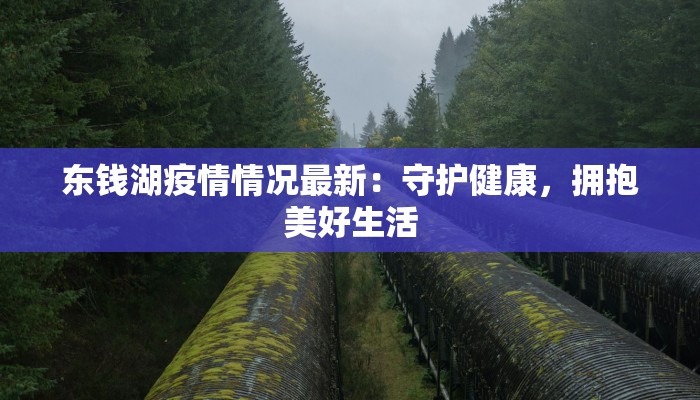 东钱湖疫情情况最新：守护健康，拥抱美好生活