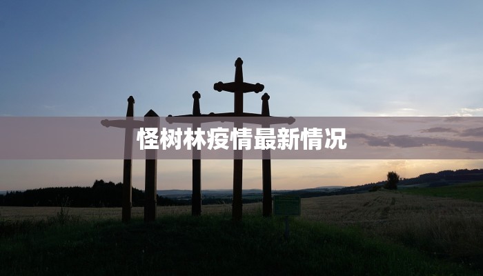怪树林疫情最新情况