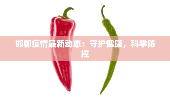 邯郸疫情最新动态：守护健康，科学防控
