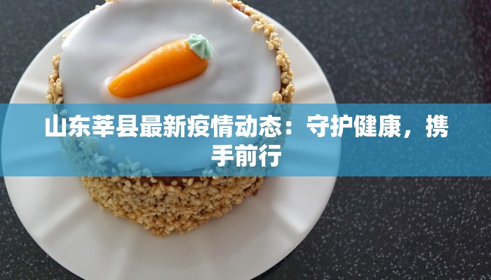 山东莘县最新疫情动态：守护健康，携手前行