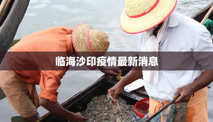 临海沙印疫情最新消息