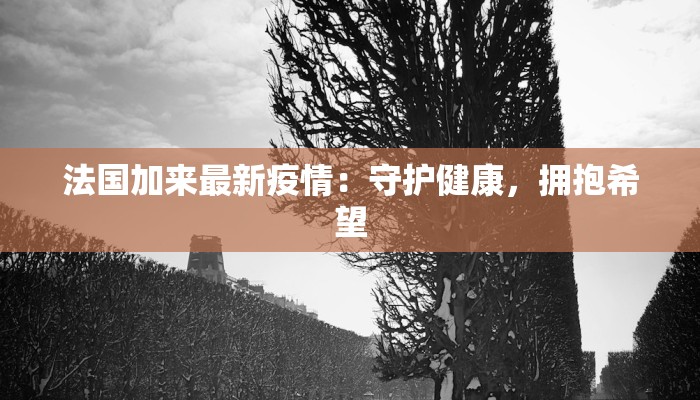 武汉抗击疫情方案最新