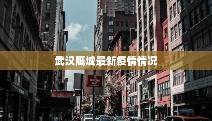 武汉鹰城最新疫情情况