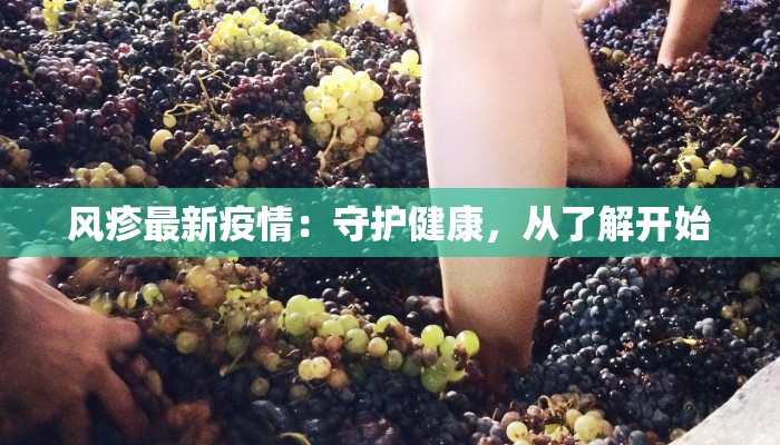 上海今天最新疫情：守护健康，拥抱活力之城