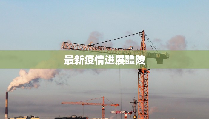 最新疫情进展醴陵