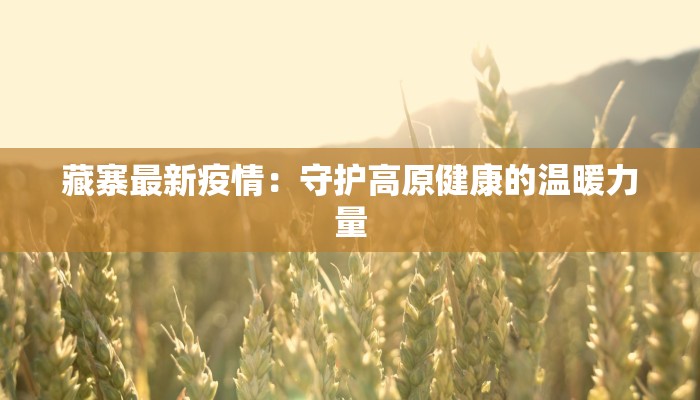 藏寨最新疫情：守护高原健康的温暖力量