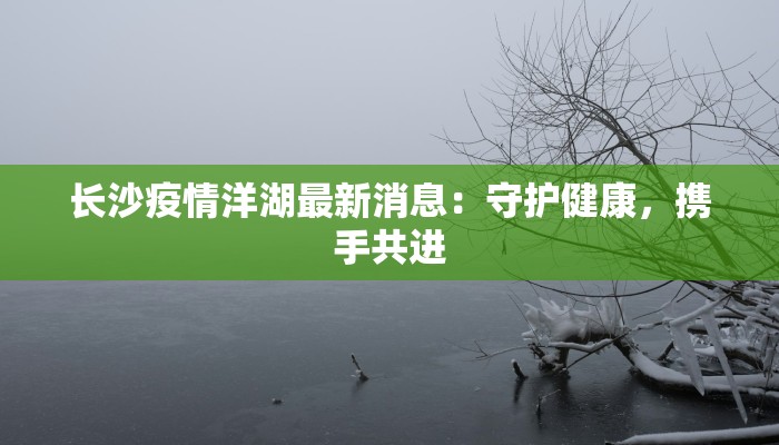 长沙疫情洋湖最新消息：守护健康，携手共进
