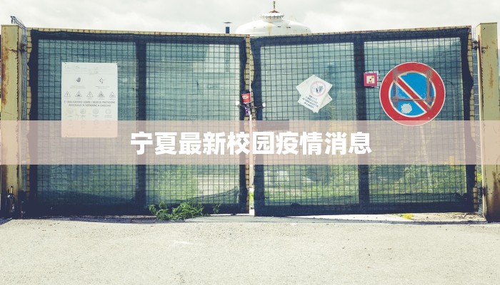 金州舞蹈学校：舞动梦想，绽放光彩