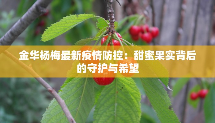 山西朔县疫情最新情况：科学防控与民生守护