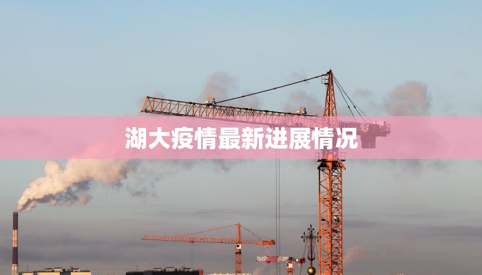 拉萨疫情进出最新：安全出行，畅享高原之旅