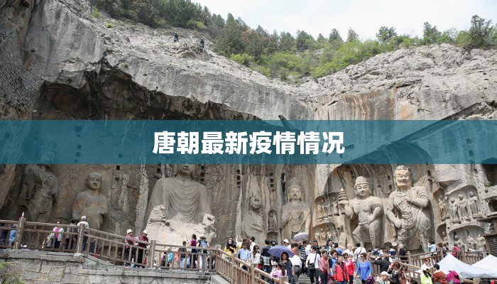 宁波最新疫情外卖指南：安全美味触手可及