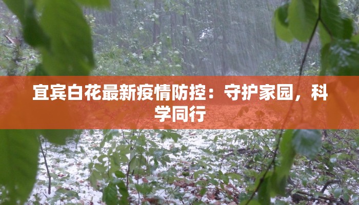 宜宾白花最新疫情防控：守护家园，科学同行