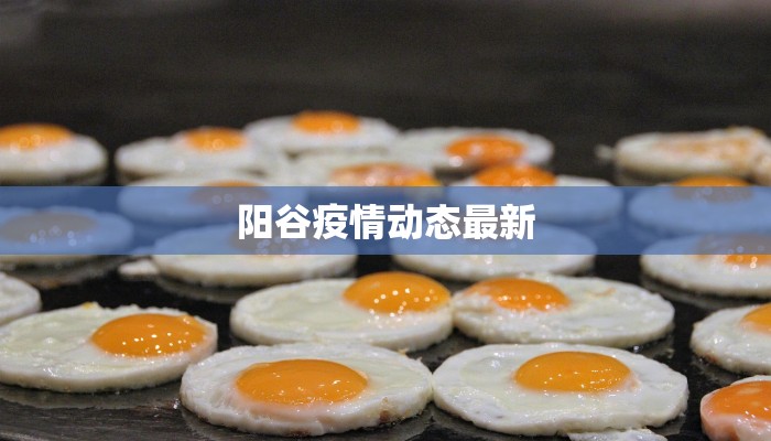 阳谷疫情动态最新