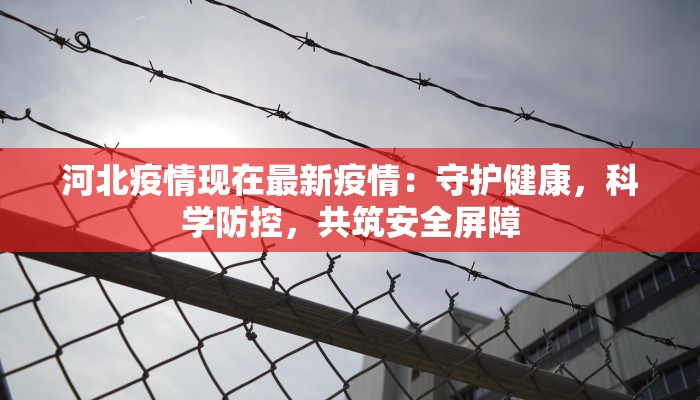 河北疫情现在最新疫情：守护健康，科学防控，共筑安全屏障