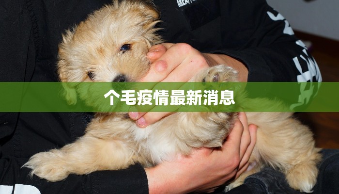 个毛疫情最新消息