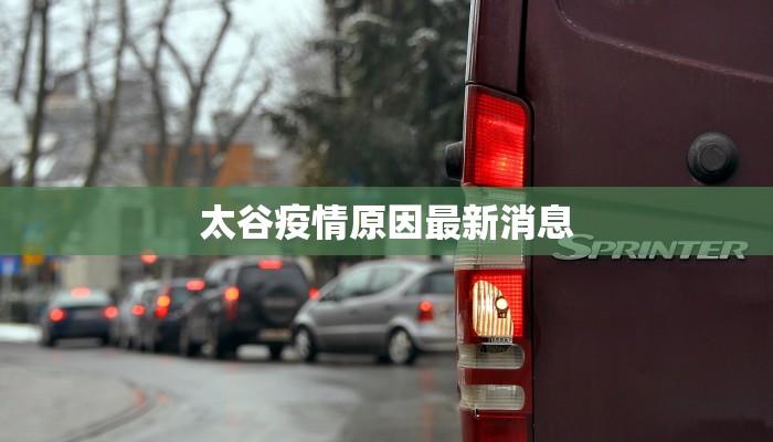 延边农商行最新疫情：稳健前行，守护民生