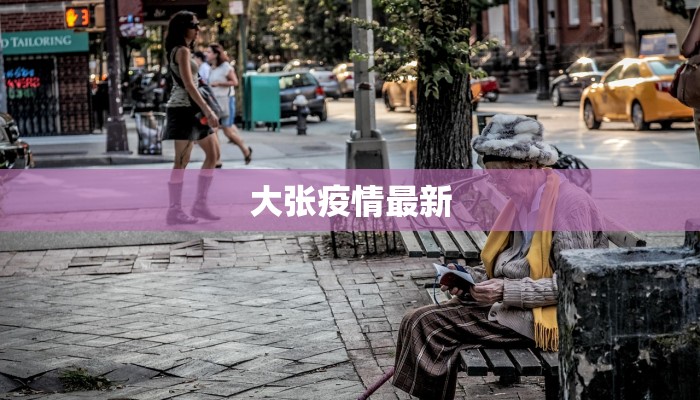 大张疫情最新