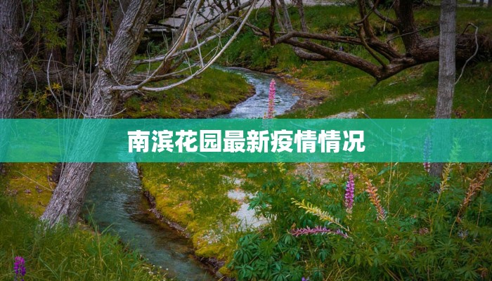 南滨花园最新疫情情况