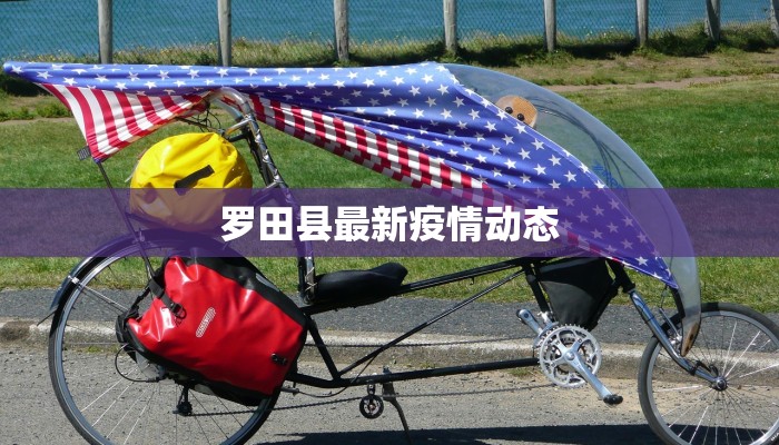 罗田县最新疫情动态